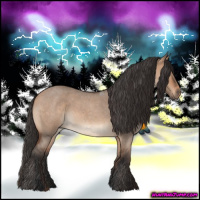 Horse Color:Bay Roan Dun 