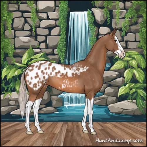 Horse Color:Chestnut Splash Blanket