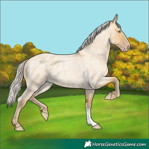 Horse Color:Silver Classic Cream Champagne Roan Dun 