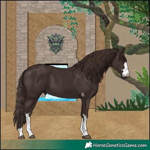 Horse Color:Liver Chestnut