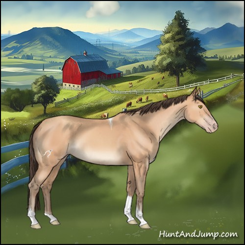 Horse Color:Amber Champagne Tobiano