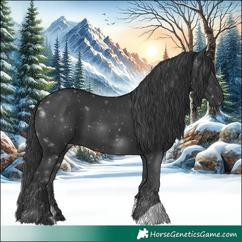 Horse Color:Black 