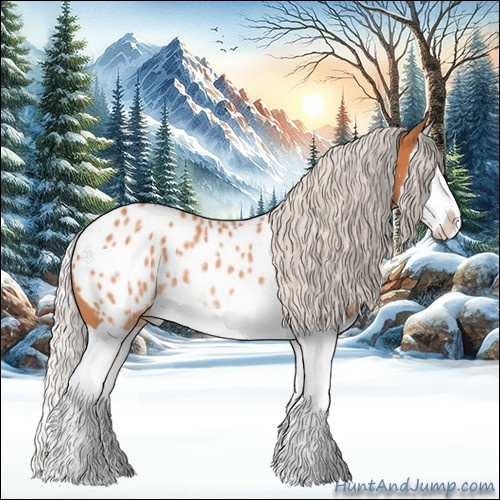 Horse Color:Silver Bay Splash Appaloosa Rabicano 