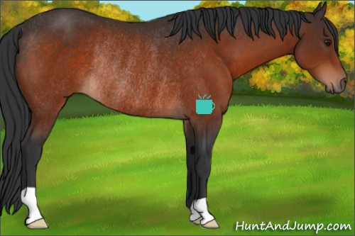 Horse Color:Brown Rabicano