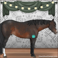 Horse Color:Brown Sabino