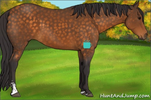 Horse Color:Buckskin Sabino 