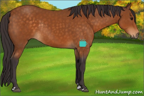 Horse Color:Buckskin Sabino Rabicano 