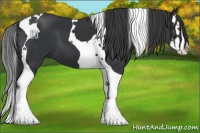 Horse Color:Black Splash Tobiano