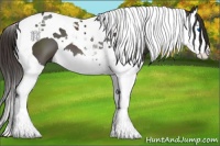 Horse Color:Smoky Black Splash Tobiano