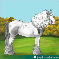 Horse Color:Black Splash Tobiano