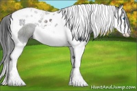 Horse Color:Black Splash Tobiano 