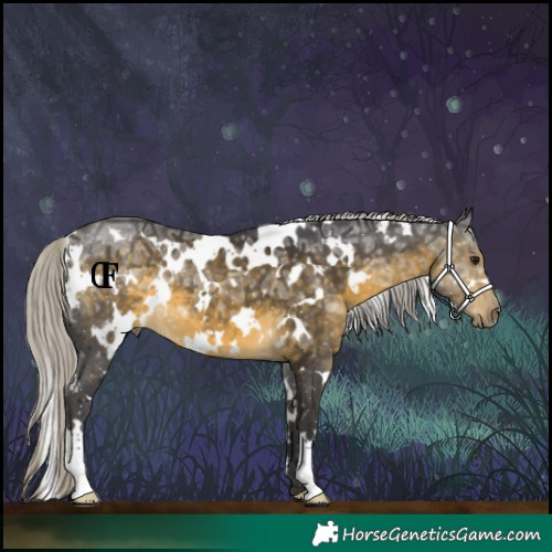 Horse Color:White Spotted Silver Buckskin Ice 