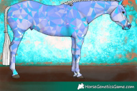 Horse Color:Gray Silver Brown Appaloosa 