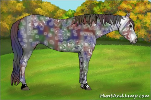 Horse Color:Nacre Black Ice