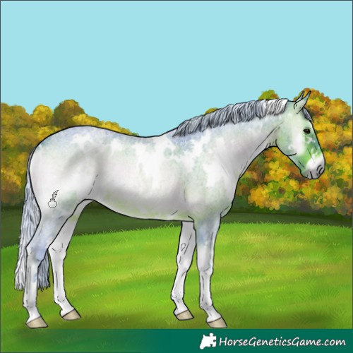 Horse Color:Watercolor White Spotted Silver Brown Roan Onyx 