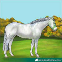 Horse Color:Watercolor White Spotted Silver Brown Roan Onyx 