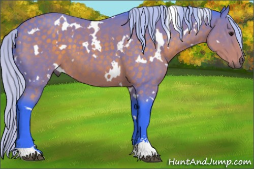 Horse Color:Watercolor White Spotted Silver Buckskin Sabino 