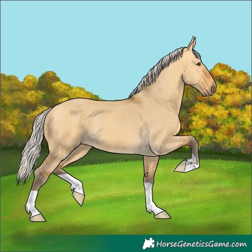 Horse Color:Silver Buckskin Dun 