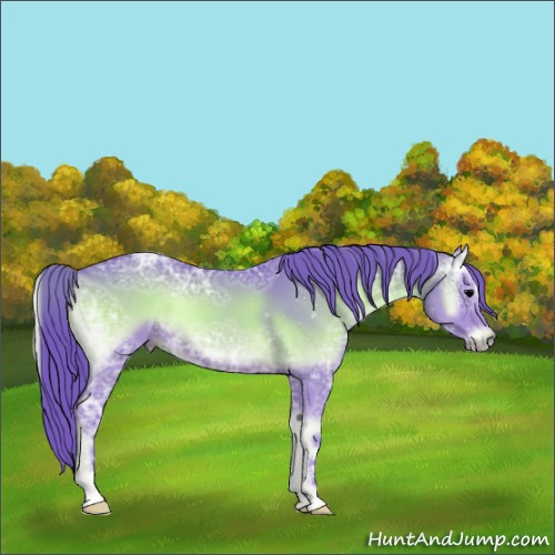 Horse Color:Watercolor Blue Onyx Ice 