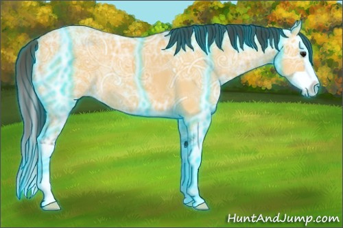 Horse Color:Thunderstruck Buckskin Ice Splash