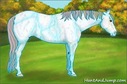 Horse Color:Thunderstruck Watercolor Gold Champagne Ice Onyx Appaloosa