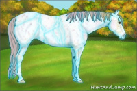 Horse Color:Thunderstruck Watercolor Gold Champagne Ice Onyx Appaloosa 