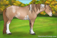 Horse Color:White Spotted Liver Chestnut Pearl Tobiano
