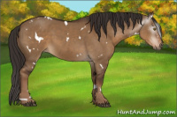 Horse Color:Gray White Spotted Liver Red Dun Varnish 
