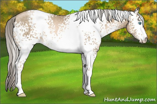 Horse Color:White Spotted Chocolate Palomino Pearl 
