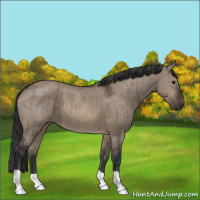 Horse Color:Brown Dun Brindle 