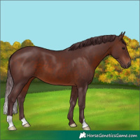 Horse Color:Chocolate Brown