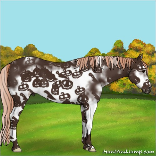 Horse Color:White Spotted Liver Chestnut Frame 