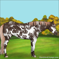 Horse Color:White Spotted Liver Chestnut Frame