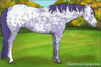 Horse Color:Watercolor Black Ice Appaloosa 