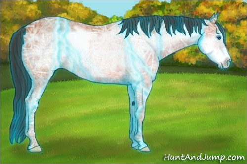 Horse Color:Thunderstruck Bay Ice Frame