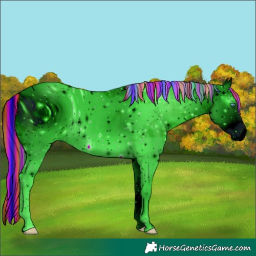Horse Color:ERROR: UNKNOWN ANOMALY