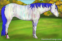 Horse Color:Watercolor Bay Ice Onyx