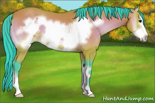 Horse Color:Watercolor Bay Roan Onyx Frame