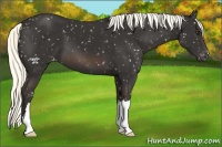 Horse Color:Liver Chestnut Mushroom Snowflake Varnish 