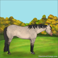Horse Color:Brown Dun Mushroom 