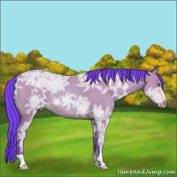 Horse Color:Watercolor Amber Champagne Ice Roan Rabicano