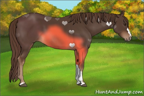 Horse Color:Liver Chestnut 