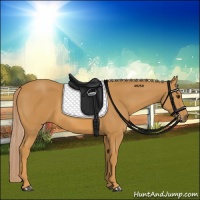 Horse Color:Palomino 