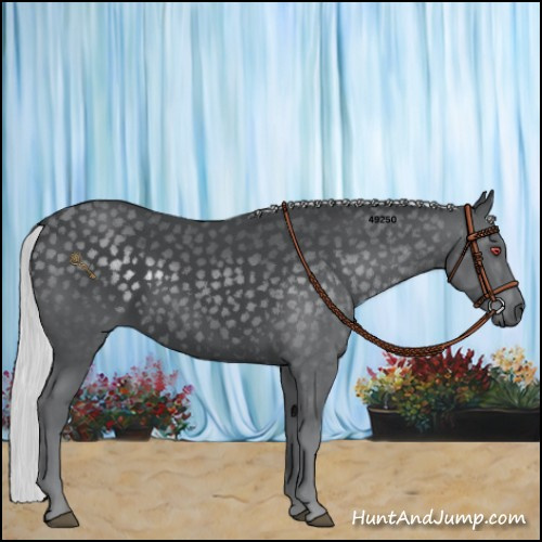 Horse Color:Silver Black Chinchilla Rabicano 