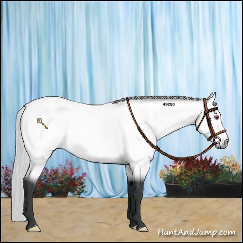 Horse Color:Silver Bay Chinchilla Rabicano 