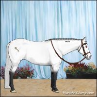 Horse Color:Silver Bay Chinchilla Rabicano 