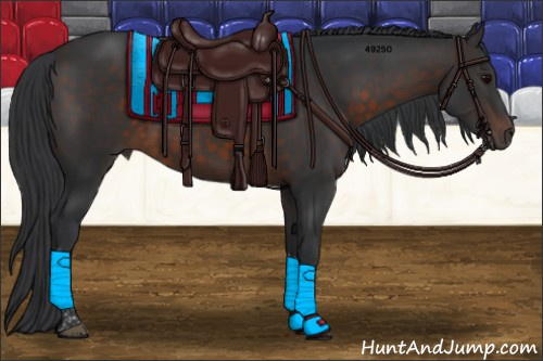 Horse Color:Brown Tobiano 