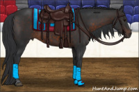 Horse Color:Brown Tobiano