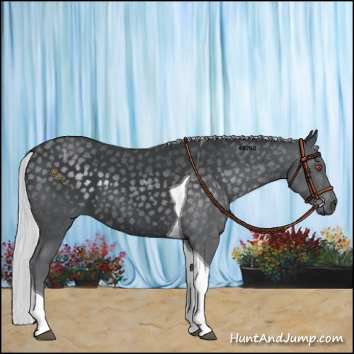 Horse Color:Silver Black Chinchilla Tobiano 