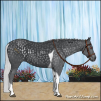 Horse Color:Silver Black Chinchilla Tobiano 